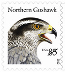 85 cent Birds of Prey stamps pay the First Class three-ounce rate