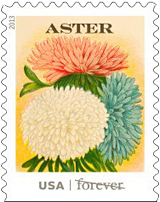Vintage Seed Packet Forever Stamp, 2013 Aster USA