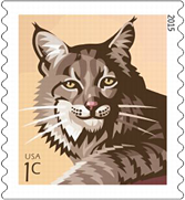 Bobcat Stamp 2015, USPS, 1 cent