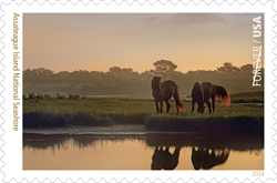 USPS 2016 Assateague National Seashore Stamp