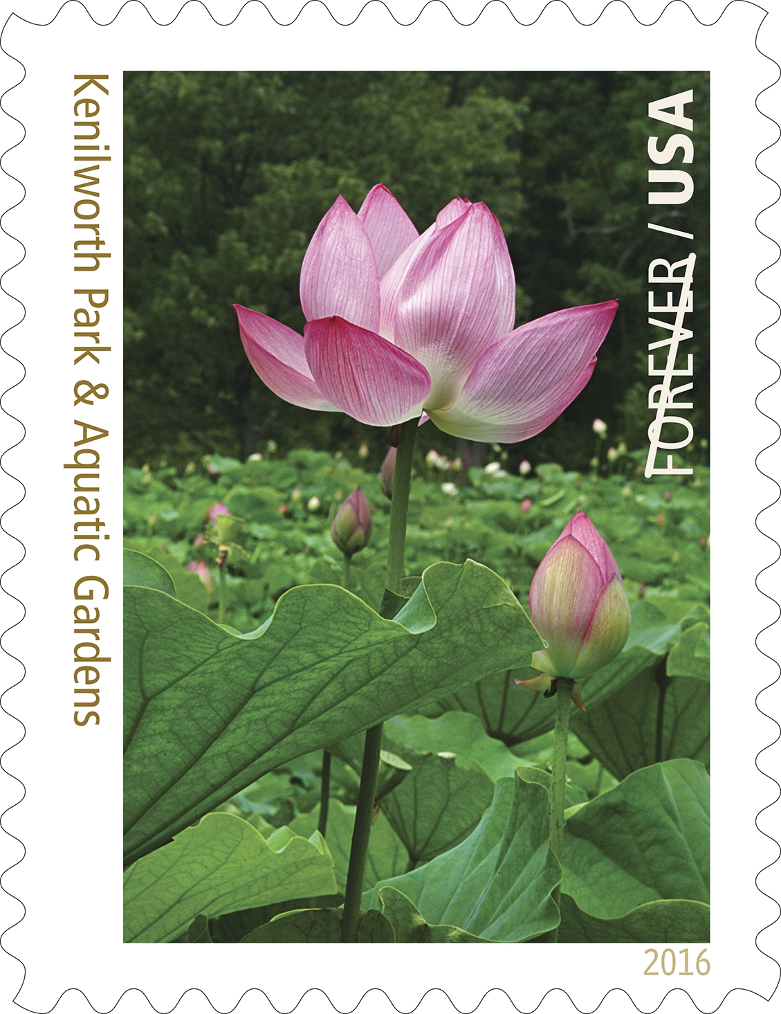 USPS New Stamp Issues 2016, Forever Stamps (Stamp News Now)