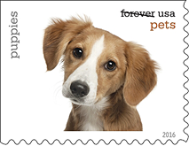 Pets Stamps, USPS 2016