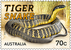 Australia Things that Sting Stamps 2014 - Tiger Snake Stamp 70 cents