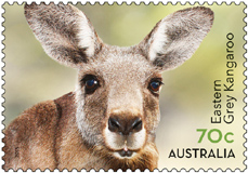 Australia Kangaroo Stamp 2015, Australia Post