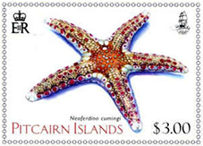 Pitcairn Island Stamp of Star Fish - Echinoderms Stamp Block - October 2019