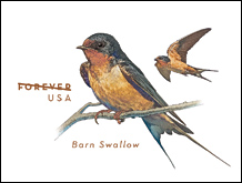 USPS Barn Swallow envelope 2017