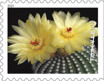 USPS - Cactus Flowers Stamps, 2019