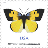 USPS - California Dogface - Butteryfly Stamp 2019