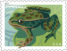 USPS - Frog Stamp, 2019