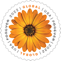 USPS - African Daisy Global Forever Rate Stamp