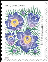 USPS - Mountain Flora Stamp, 2022