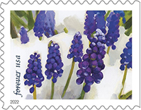 Snowy Beauty Stamp, USPS 2022
