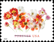 USPS - Tulip Forever Stamp, 2022