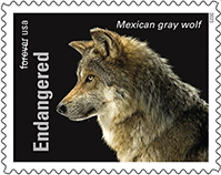 Endangered Species Forever Stamp