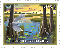 USPS - Florida Everglades Priority Mail Stamp, 2023