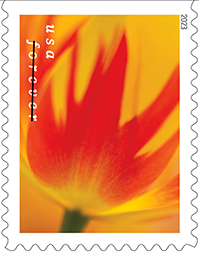 Tulip Blossoms Forever Stamp