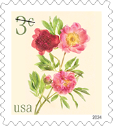 USPS - Low Denomination 3-Cent Peonies Stamp, 2024