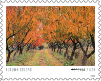 USPS Autumn Colors Forever Stamps, 2024