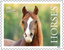 USPS - Horses Forever Stamps, 2024