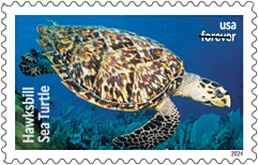 Protect Sea Turtles Forever Stamps, 2024